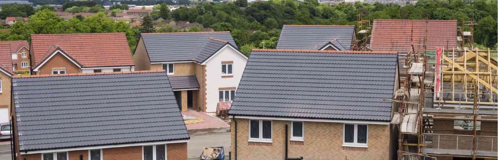 Savills Public Sector