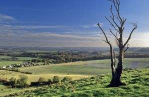 Bedfordshire estate agents